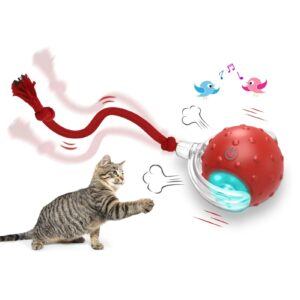 Cat Toy Ball