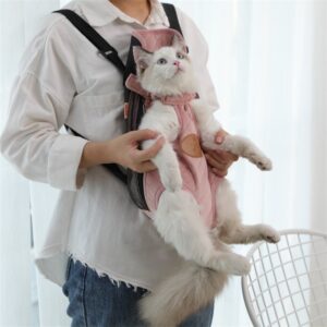 Portable pet backpack