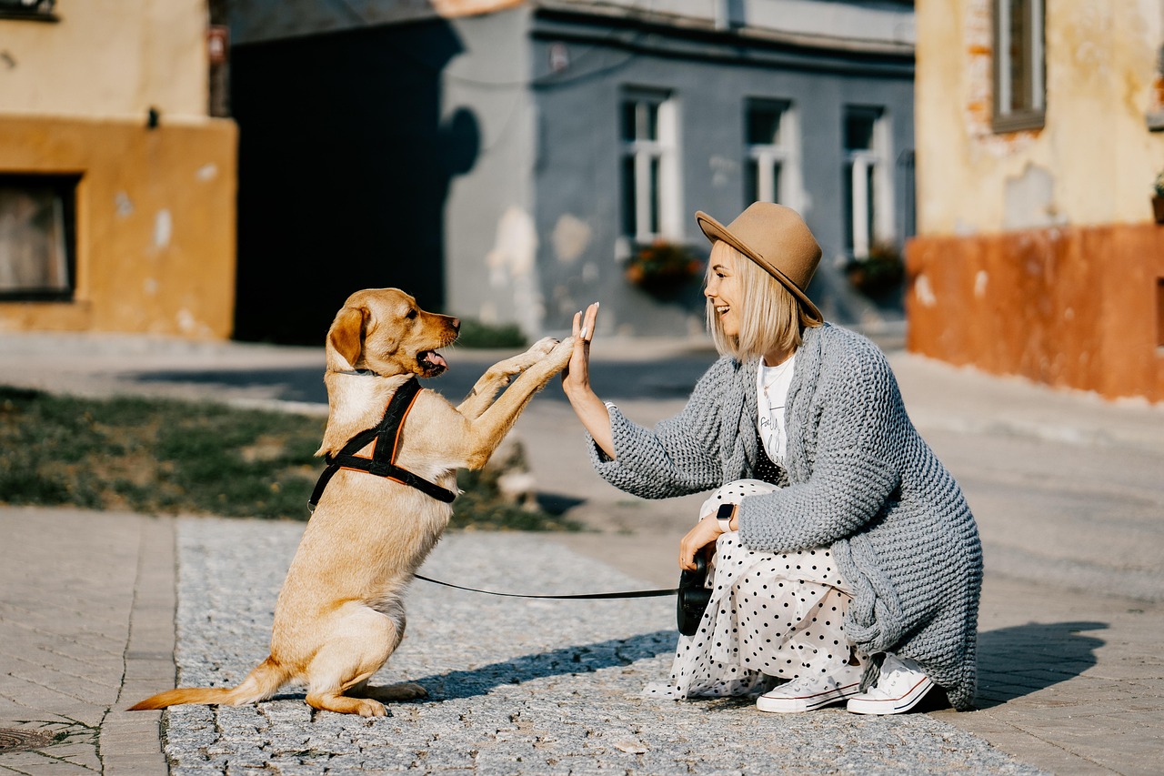 girl, dog, pet, friendship, companion, owner, caucasian, blonde, caucasian female, blonde female, nature, canine, domestic dog, doggy, happy, animal, love, woman, cute, puppy